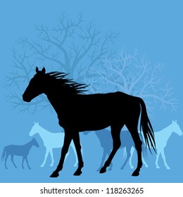 Horses in field vector background