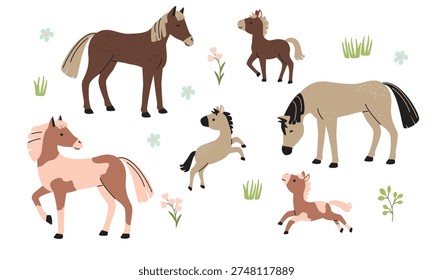 Horses and foals collection isolated on white. Cute adults and baby animals of various colors frolic among flowers and grasses. Flat style vector illustrations set for use in cards, banners  template.
