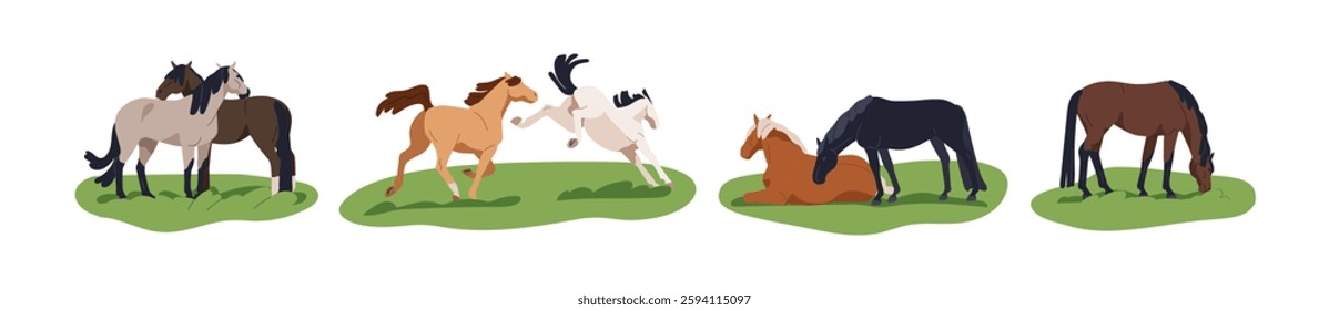 Horses grazing, running, resting and frolicking. Stallions, steed and mare on grass, countryside pasture. Equine animal life, rural scenes set. Flat vector illustration isolated on white background