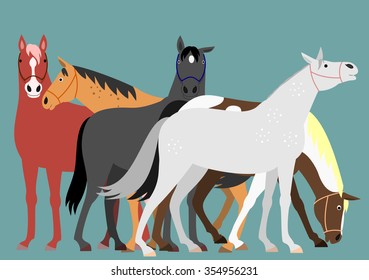Horses group