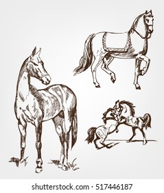 Horses. Hand drawn set. Hand sketch horse
