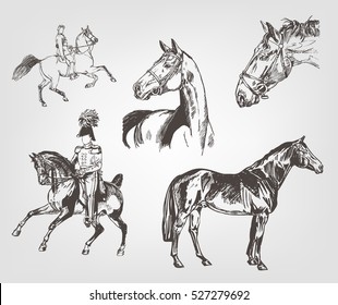 Horses. Hand drawn set. Hand sketch horse