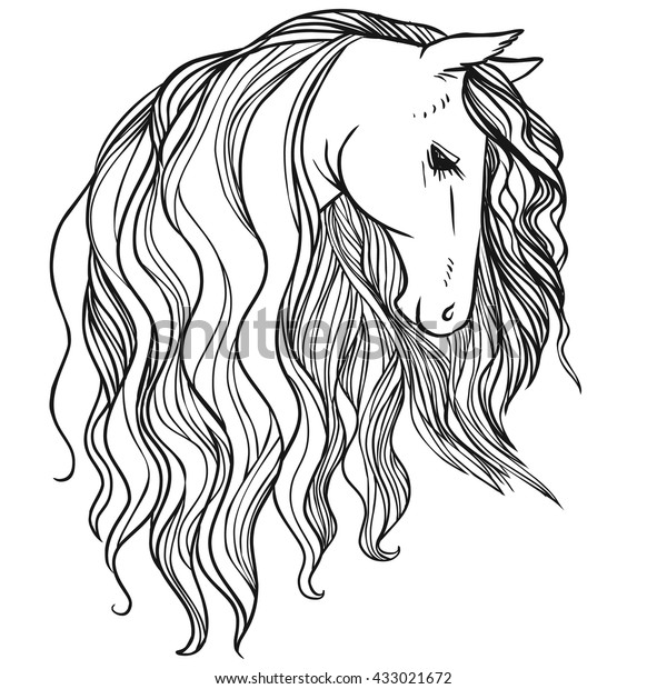 Horses Head Beautiful Long Mane Vector Stock Vector (Royalty Free