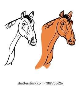 The horse's head and its contour