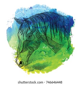 Horse's head. Drawing by hand in vintage style. Meditative coloring. coloring for children. A horse with a long mane. Arrows, points, patterns.