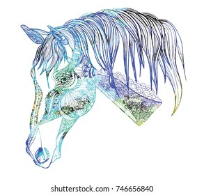 Horse's head. Drawing by hand in vintage style. Meditative coloring. coloring for children. A horse with a long mane. Arrows, points, patterns.