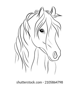 horse's head hand draw, vector illustration isolated on a white background