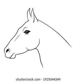 The horse's head. A horse. A hand drawing, and outline. Isolated on a white background