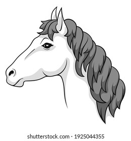 The horse's head. A horse. A hand drawing, and outline. Isolated on a white background