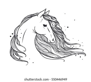 Horse's head with long wavy mane. Vector hand drawn illustration on white background may be used as tattoo sketch, t-shirt print and other