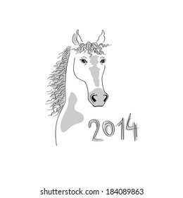 Horse's head on white background. 