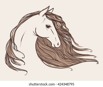 Horse's head. Tattoo sketch. Vector hand drawn illustration
