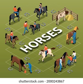 Horses isometric flowchart demonstrated people with disability adults and children getting equine assisted therapy vector illustration