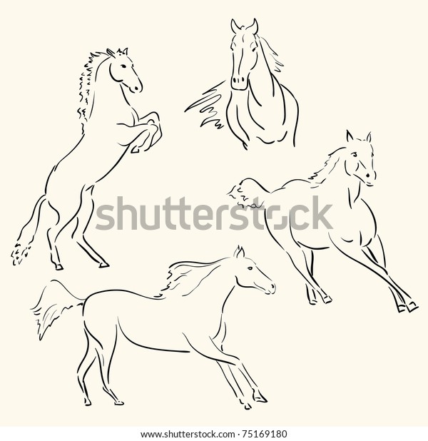 Horses Line Art Stock Vector (Royalty Free) 75169180