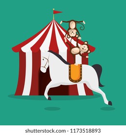horses and monkeys circus show