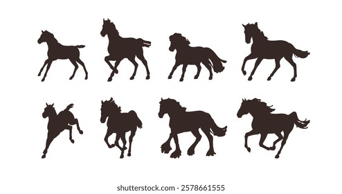 Horses in movement, silhouettes set. Galloping, running, trotting and walking. Stallions in action, dynamic poses. Equine figures, black shades. Flat vector illustration isolated on white background