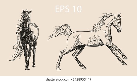 Horses in nature. Unique vector illustrations of wild mustangs. Double illustration. Authentic execution of drawings. A set of hand-drawn sketches. Objects are isolated, further editing is possible.