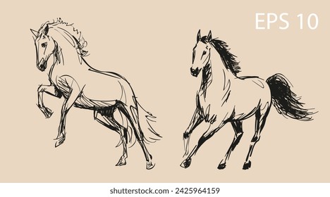 Horses in nature. Vector illustration on the theme of wild mustangs. Unique authentic illustrations. A set of sketches made by hand. Objects are isolated, further editing is possible.