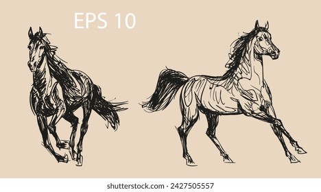 Horses in the nature. Vector illustration of wild mustangs. Unique illustrations. Authentic execution of drawings. A set of hand-drawn sketches. The objects are isolated, further editing is possible.