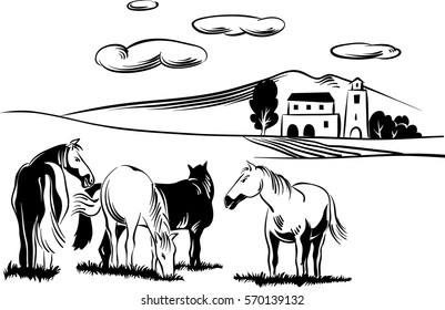 Horses Grazing Stock Vectors, Images & Vector Art | Shutterstock