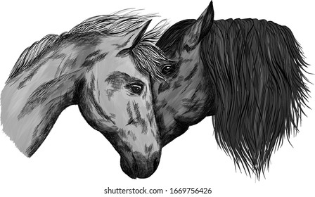 horses portrait in love black and white animals vector illustration