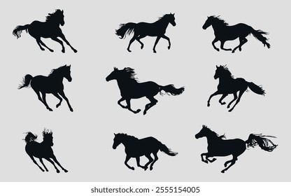 horses, race, mustang, horse, silhouette, wild, running, vector, animal, animals, illustration, collection, posing, pose, fast, farm, standing, jumping, champion, icon, black, silhouettes, mammal, des