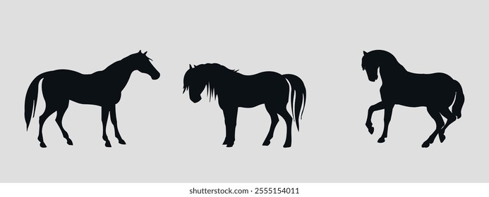 horses, race, mustang, horse, silhouette, wild, running, vector, animal, animals, illustration, collection, posing, pose, fast, farm, standing, jumping, champion, icon, black, silhouettes, mammal, des