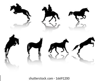 horses and riders silhouettes