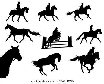 horses and riders silhouettes