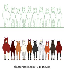 Horses in a row