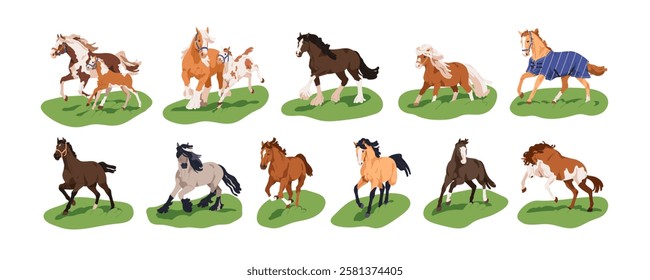 Horses running, galloping, trotting, walking and frolicking outdoors, set. Thoroughbred stallions in dynamic poses. Equine animals in movement. Flat vector illustration isolated on white background