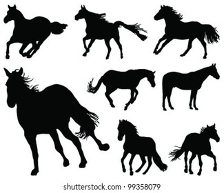 Horses silhouette 3-vector