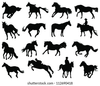 Horses silhouette 5-vector