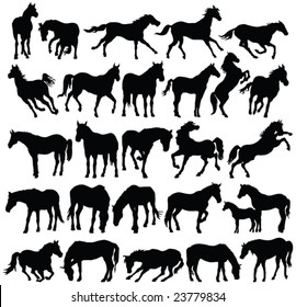 horses silhouette collection - vector