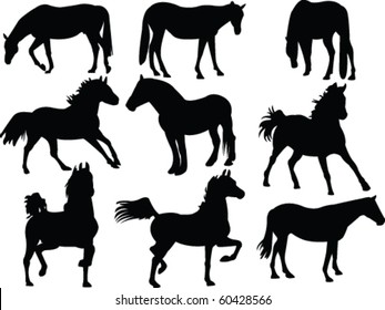 horses silhouette collection - vector