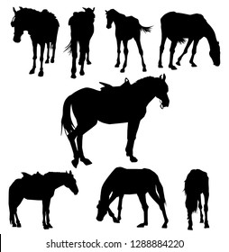 Horses Silhouette Set 
it's a vector illustration.
