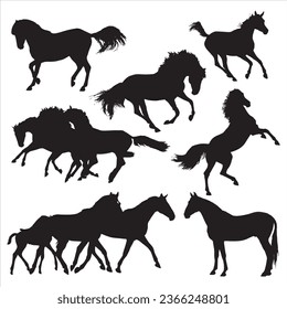 Horses silhouette set vector illustration, Collection of Horse silhouette