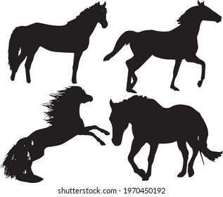 Horses silhouette vector illustration  Design on white background