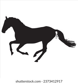 Horses silhouette vector illustration. Horses silhouette isolated on white background.