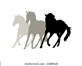 horses silhouettes