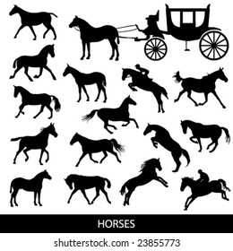 horses silhouettes