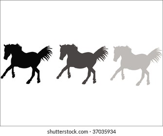 horses silhouettes