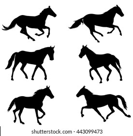 horses silhouettes collection - vector