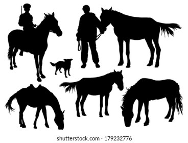 Horses silhouettes set