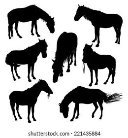 Horses silhouettes set