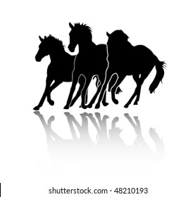 horses silhouettes vector