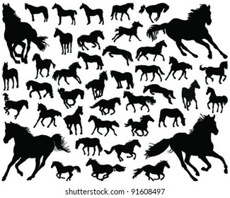 horses silhouette-vector