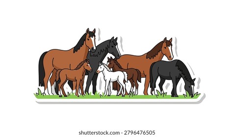 Horses standing in a group outside