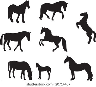 1,945 Mare and foal outline Images, Stock Photos & Vectors | Shutterstock