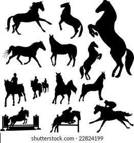 horses - vector